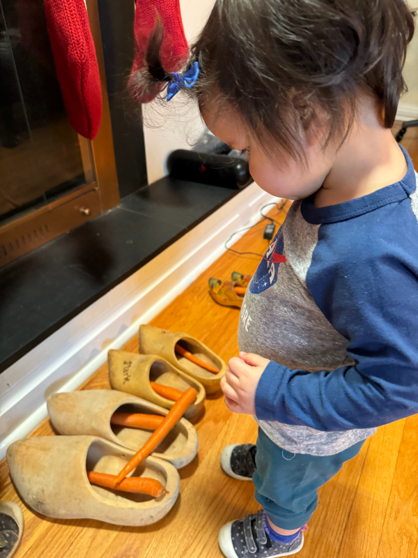 Rory looking contemplatively at wooden shoes with carrots in them